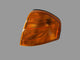 Eurolites 22361000 – Feu Clignotant Avant Gauche Mercedes Classe C W202 / C 220- 1993-2000